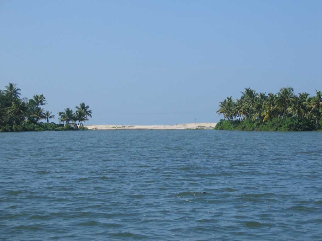 ashtamudi-lake-img